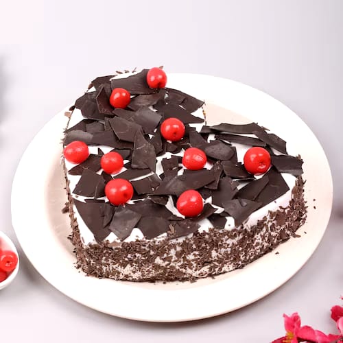 Choco Truffle Bliss